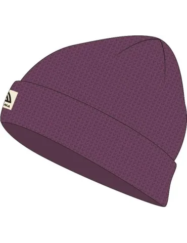 Explorer Beanie