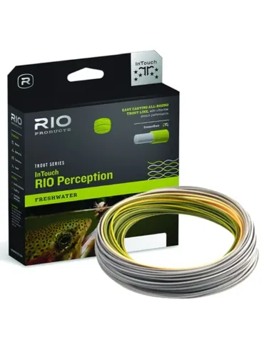 RIO Perception