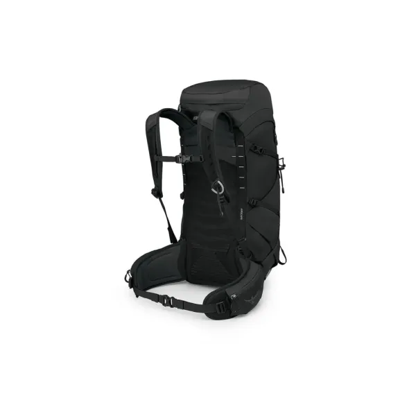 Talon 33