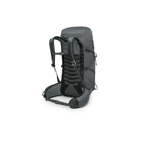 Talon 33