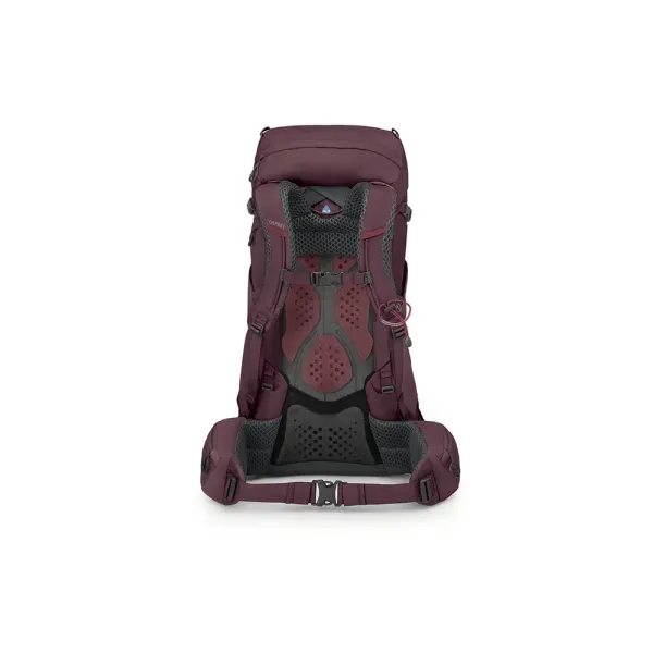 W´s Kyte 38