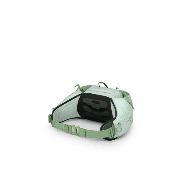 W´s Tempest 6